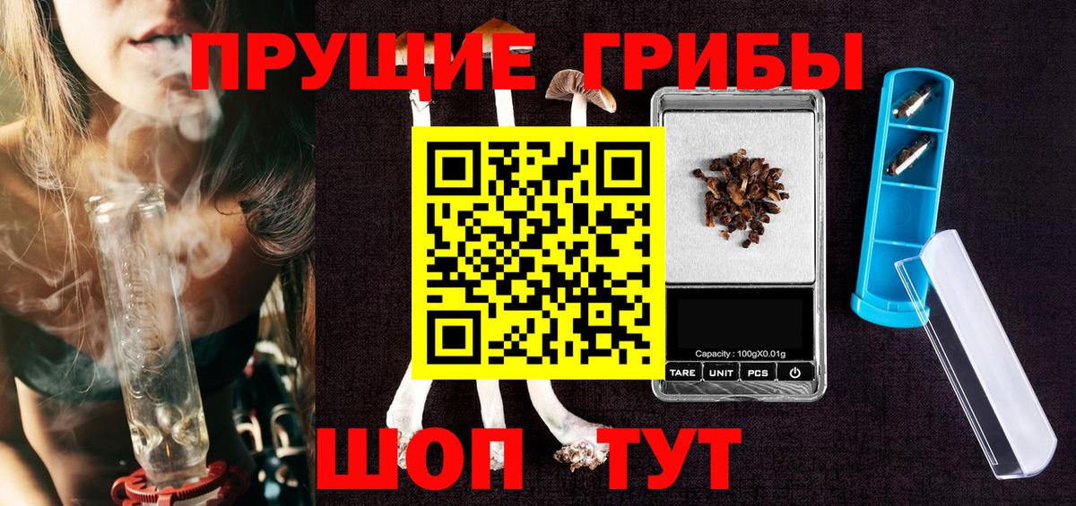 Псилоцибиновые грибы ЛСД  закладка  Вятские Поляны  Вход с VPN 