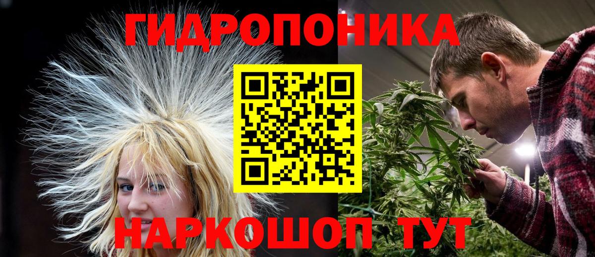 Вятские Поляны  Каннабис семена  Конопля гибрид  Вход с VPN  Канабис планчик 